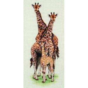 Anchor Giraffe Family Counted Cross Stitch Kit  14x47cm